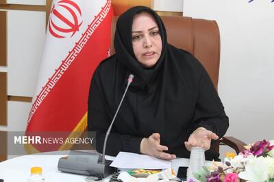 سرپرست بهزیستی بوشهر: اقدامات پیشگیری از آسیب‌های اجتماعی تقویت می‌شود