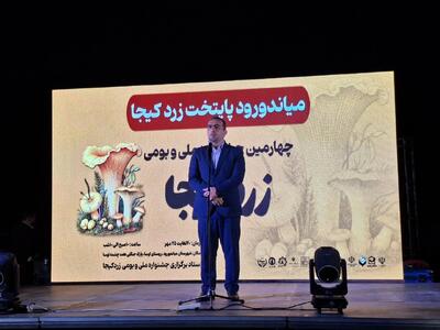 بابایی: میاندورود از رویشگاه‌های کم نظیر قارچ‌های طبیعی است
