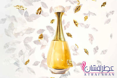 انتخاب هوشمندانه عطر زنانه برای امضای شخصی شما