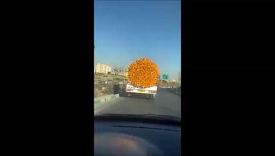 کادوی متفاوت یک هموطن برای روز دختر سوژه شد / از جذابترین هدیه روز دختر در خیابان‌های تهران رونمایی شد