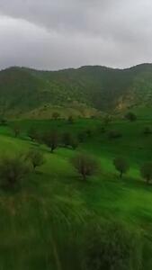 طبیعت سر سبز و زنده خوزستان + فیلم