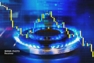 شرکت‌های کارور؛ پل ارتباطی دولت و بخش خصوصی/ بازی برد - برد - برد