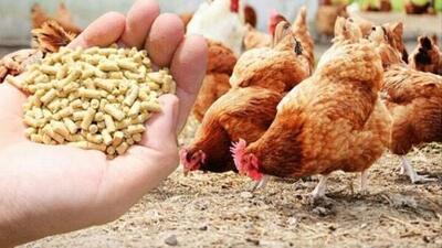 گلایه رئیس کمیسیون کشاورزی از قیمت کالاهای اساسی در بازار