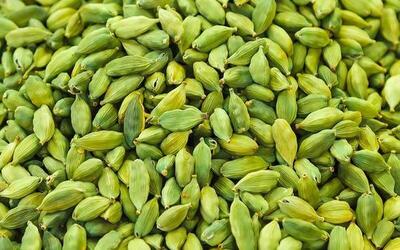 اندازه ۰.۸۹میلیارد دلاری بازار جهانی هل در ۲۰۲۵| گواتمالا در صدر تولید