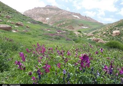 راه‌اندازی شبکه پایش آنلاین برای حفاظت از بزرگترین ذخیره‌گاه زیست کره زاگرس - تسنیم