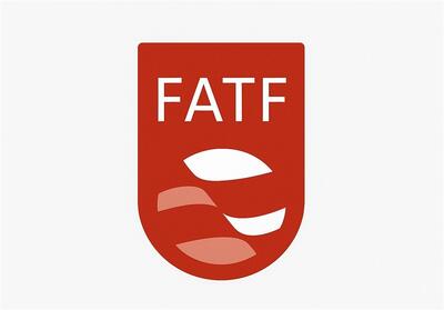جزئیات پذیرش مشروط CFT/ قوانین داخلی از کنوانسیون‌های FATF  جامع‌تر است - تسنیم