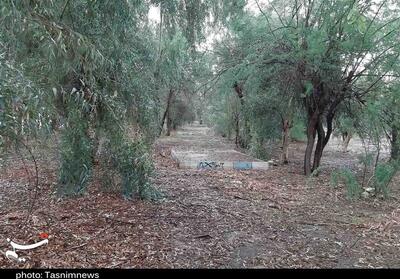 پرونده تغییر کاربری اراضی پارک‌های جنگلی لرستان در حال بررسی است - تسنیم