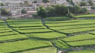  «سرتنگ»؛ روستایی واجد جغرافیای اشتغال، اقتصاد کشاورزی و جاذبه گردشگری