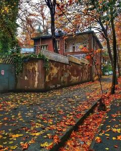 زیبایی کوچه های پاییزی تهران