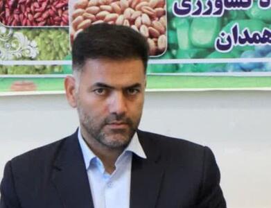  باقی‌مانده مطالبات گندم‌کاران همدانی به‌زودی پرداخت می‌شود