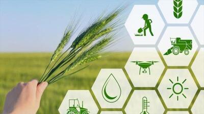 استاندار اردبیل: نخستین پردیس فناورانه کشاورزی در دشت مغان ایجاد می‌شود