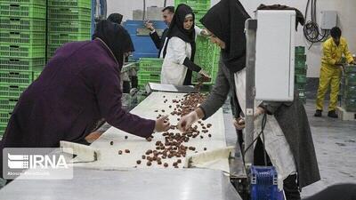  تعاونی‌های محله‌محور در کردستان تشکیل شود