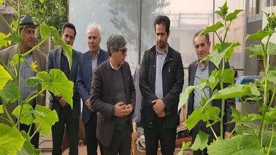  فرماندار نیر: گلخانه‌های شهرستان با راهبرد حمایتی رو به افزایش است