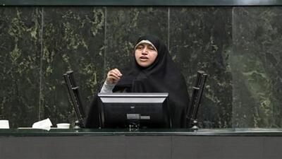  محمدبیگی: بسیاری از قوانین مربوط به جوانی جمعیت با کُندی در حال اجراست