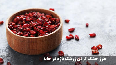  طرز خشک کردن زرشک تازه در خانه + طرز نگهداری زرشک تازه در فریزر