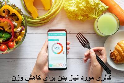  کالری مورد نیاز بدن زنان و مردان برای کاهش وزن روزانه چقدر است؟