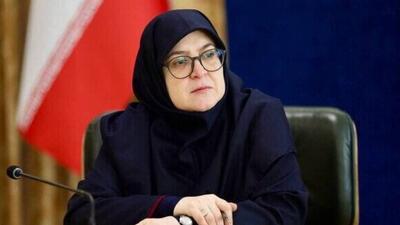  گریه‌های سخنگوی دولت در آغوش مادر شهیدان زین الدین پس از تماشای فیلم سینمایی «مجنون»