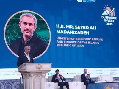  وزیر اقتصاد: ایران و تاجیکستان در مسیر تجارت ۵۰۰ میلیون دلاری با تمرکز بر انرژی پاک و فناوری