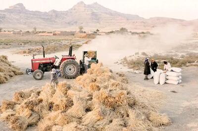  اولین تبعات خشک شدن دریاچه ارومیه آشکار شد