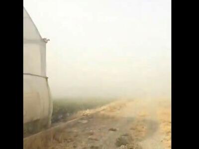  طوفان نمک دریاچه ارومیه، نقده را درنوردید