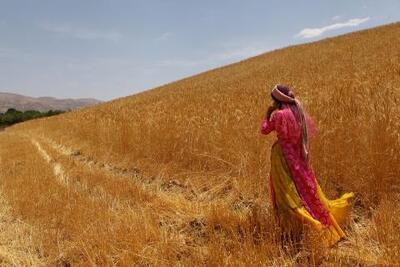 سرمایه‌گذاری ۵۰۰ میلیاردی به منظور اتصال روستاهای استان فارس