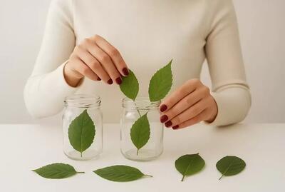  ببینید با برگ های خشک و بطری شیشه ای چه کار فوق العاده ای انجام دادم !