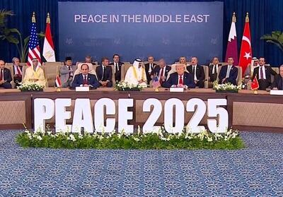 انتقاد دیپلمات پیشین از غیبت ایران در شرم‌الشیخ/ رحیم‌پور: قهر با جهان دستاوردی ندارد