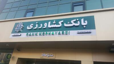 جعفری، عضو کمیسیون کشاورزی اتاق بازرگانی: تراز بانک کشاورزی منفی شده؛ هیچ وامی نمی‌تواند پرداخت کند