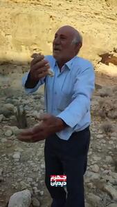  گریه و زاری پیرمردی که درختانش توسط شهرداری جهرم قطع شد