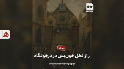 فیلم | راز نخل خون‌بس درخونگاه