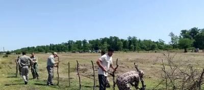  رفع تصرف بخش بزرگی از منطقه حفاظت شده لیسار