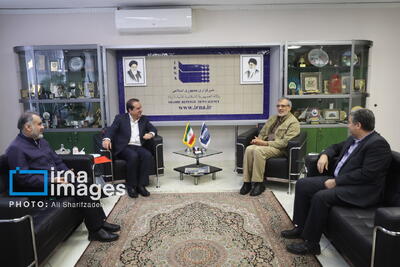 استاندار ایلام از خبرگزاری ایرنا بازدید کرد