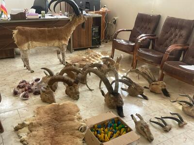  دستگیری ۶ شکارچی متخلف در استان تهران