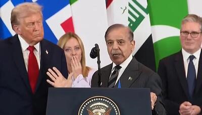  توضیح شهباز شریف درباره شرکت در نشست شرم‌الشیخ