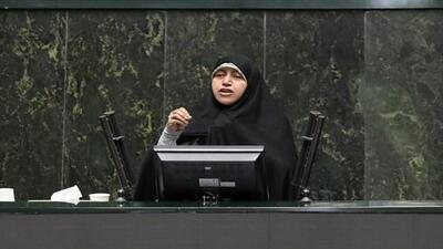 محمدبیگی: بسیاری از قوانین مربوط به جوانی جمعیت با کُندی در حال اجراست