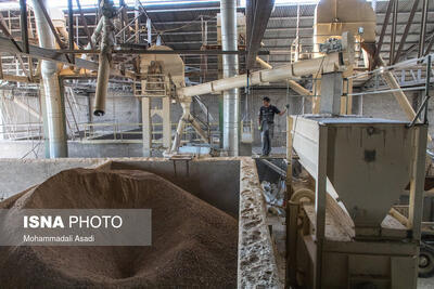  بحران نهاده‌های دامی؛ دامداران گرفتار «خرید دو فاکتوره» شدند