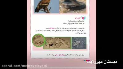  درس سیزدهم کتاب علوم کلاس سوم تلاش دبستان
