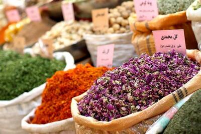 عطاری ها با نسخه های عجیب مردم را شوکه کردند؛ از پودر مارمولک تا غده اسب آبی