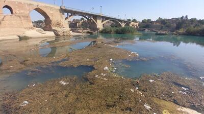 رودخانه دز زیر سیطره جلبک‌ها