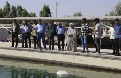  موفقیت تیم‌های دانشگاه ولی عصر(عج) رفسنجان در رویداد ملی رباتیک جام آبی یزد
