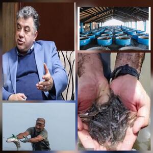  گیلان در مسیر توسعه صادرات محصولات شیلاتی