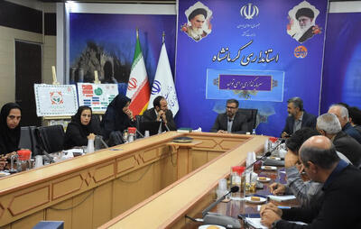  بررسی راهکارهای مقابله با بحران سالمندی در شورای سالمندان کرمانشاه