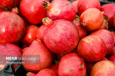  جشنواره انار اردستان فرصتی برای توسعه اشتغال محلی و اقتصاد بومی است