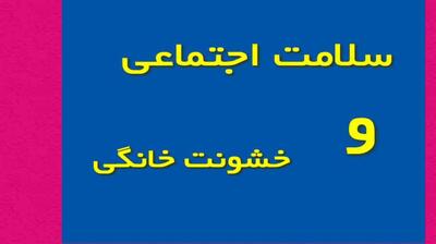 میگنا - سلامت اجتماعی و خشونت خانگی