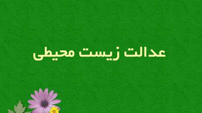 میگنا - عدالت زیست‌محیطی (Environmental Justice)