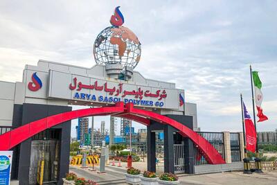 اینفوگرافی / سبد متنوع درآمدزایی در پلیمر آریاساسول
