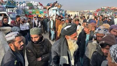 سوءبرداشت از قرآن برای توجیه حضور مهاجران افغان در ایران
