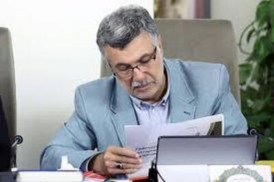 پیام تسلیت وزیر بهداشت در پی جانباختن پنج تن از نیروهای کادر درمان