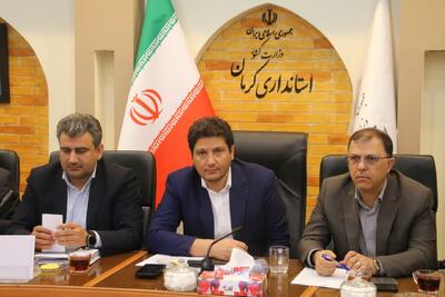 معاون اقتصادی استاندار کرمان: طرح‌های اشتغال‌زایی تبصره ۱۵ آسیب‌شناسی شوند