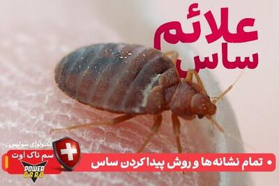  علائم ساس در منزل کدامند؟  تمام نشانه‌ها و روش پیدا کردن ساس
